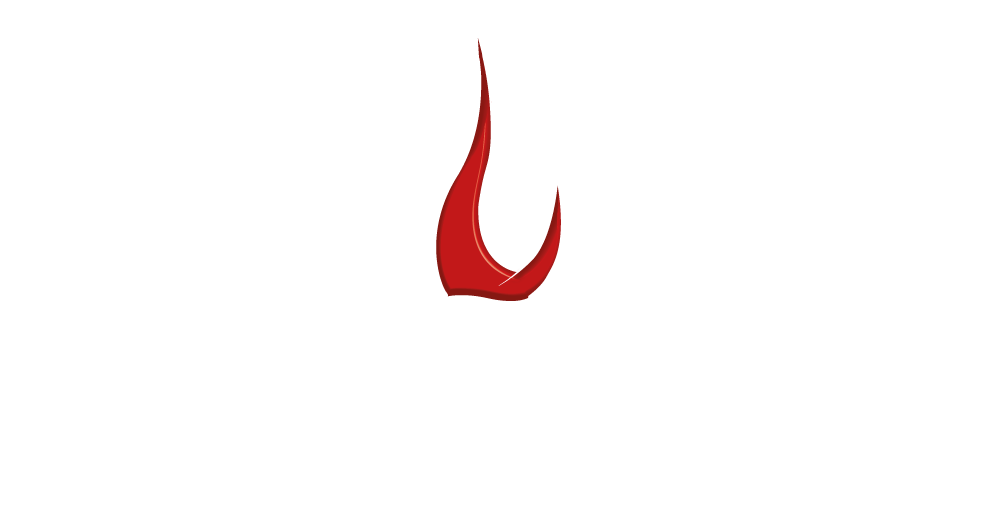 Spartherm Wood Fires